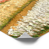 Vincent Van Hollandのフラワーベッド ポスター (角)