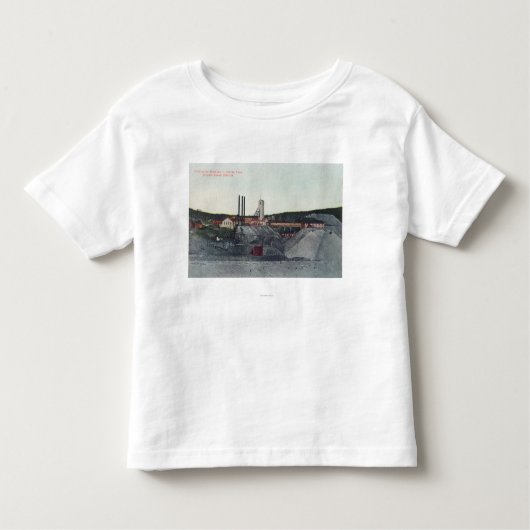 Vindicator鉱山いいえ1Victor、COの空中写真 トドラーTシャツ (正面)