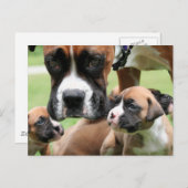 Vindy and Pups – 写真09 ポストカード (正面/裏面)