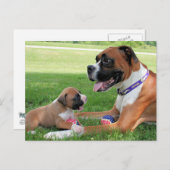 Vindy and Pups – 写真95 ポストカード (正面/裏面)