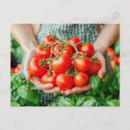 Vine Tomatoes with Countryside Charm シーズンポストカード