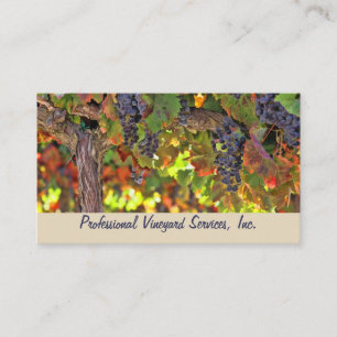Vineyard and Harvest Services名刺 名刺