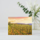 Vineyard at Dawn Kelownaブリティッシュコロンビア・カナダ ポストカード (スタンド正面)