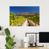 Vineyard, Cape Town, Western Cape，南アフリカ ポスター (ホームオフィス)