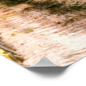 Vineyard, Cape Town, Western Cape, South Africa 2 ポスター (角)