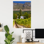 Vineyard, Cape Town, Western Cape, South Africa 2 ポスター (ホームオフィス)