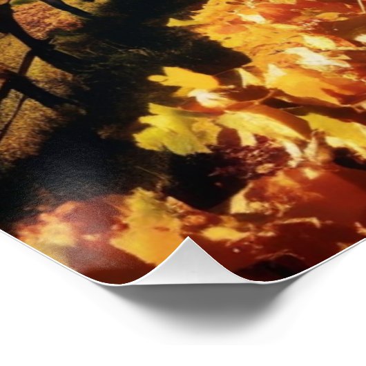 vineyard landscape ポスター (コーナー)