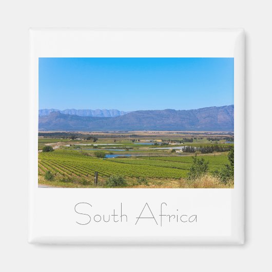 Vineyard Landscape South Africa SA Magnet マグネット (正面)