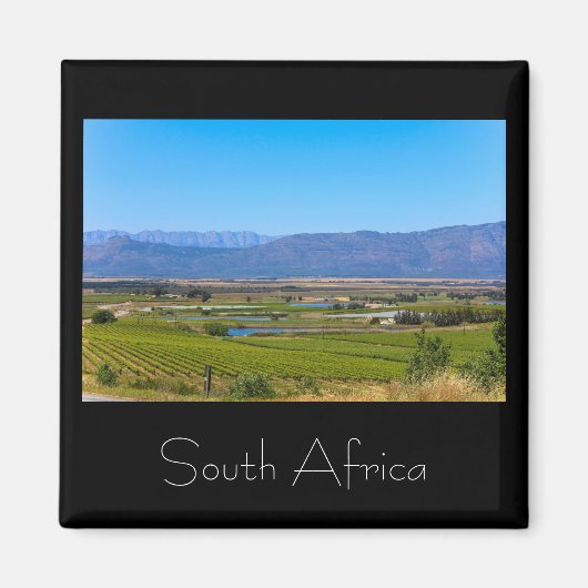 Vineyard Landscape South Africa SA Magnet マグネット (正面)
