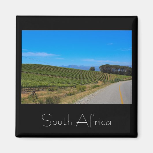 Vineyard Landscape South Africa SA Magnet マグネット (正面)