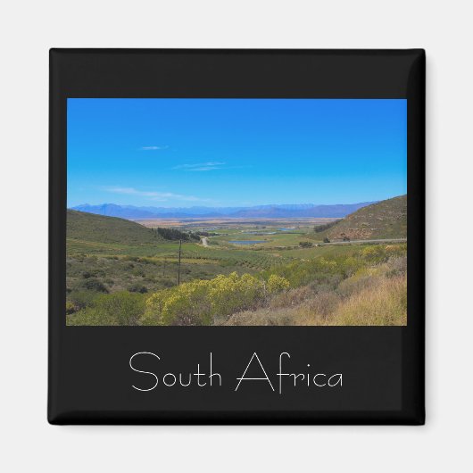 Vineyard Landscape South Africa SA Magnet マグネット (正面)