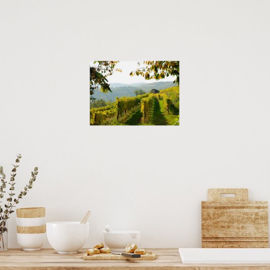 Vineyard near Krems ポスター (キッチン)