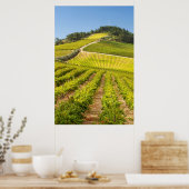 Vineyard, Stellenbosch, Western Cape ポスター (キッチン)