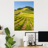 Vineyard, Stellenbosch, Western Cape ポスター (ホームオフィス)