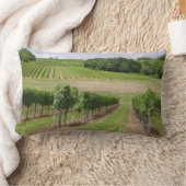 Vineyard - Vignoble (Bordeaux - France) 03 ランバークッション (ブランケット)