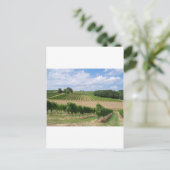 Vineyard - Vignoble (Bordeaux - France) 04 ポストカード (スタンド正面)