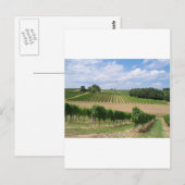 Vineyard - Vignoble (Bordeaux - France) 04 ポストカード (正面/裏面)