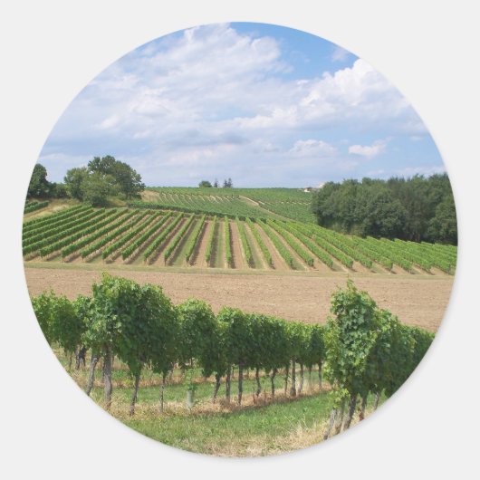 Vineyard - Vignoble (Bordeaux - France) 04 ラウンドシール (正面)