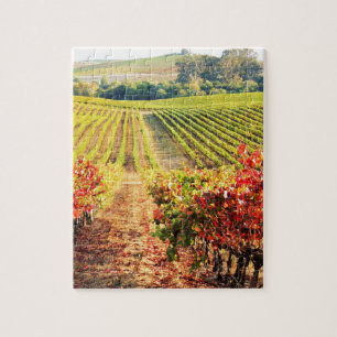 VINEYARDS.JPG ジグソーパズル