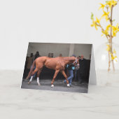 Vino Rosso -タッドPletcher カード (黄色い花)