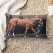 Vino Rosso -タッドPletcher ランバークッション (ブランケット)