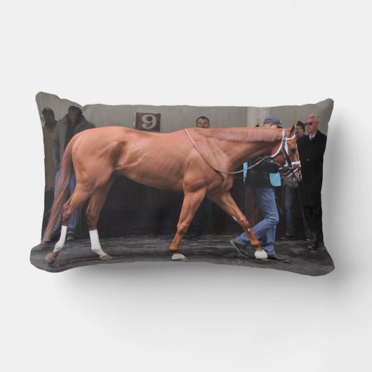 Vino Rosso -タッドPletcher ランバークッション (正面)