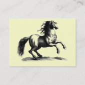 *VintageのウズウズしたHorse*の名刺 名刺 (裏面)