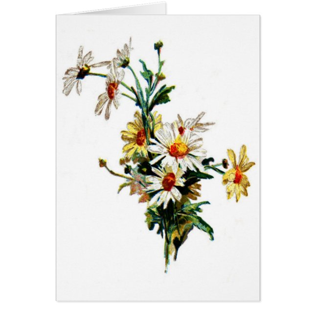 *VintageのDaisy*の花の芸術 (正面)