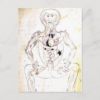 Vintage 13th Century Persian Medical Front Anatomy ポストカード