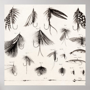 Vintage 1800s Angling Fly Fishing Flies Lures Lure ポスター