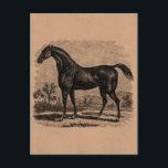 Vintage 1800s Race Horse Retro Thoroughbred Horses ポストカード<br><div class="desc">Customized Template For Vertical Postcard - Custom Post Card Templates. Personalize with your own name, pattern, design, quote, monogram, or photograph. Use our cool templates, artwork, photos, graphics, and illustrations, then add names, text, quotes, and monograms to create your own post card. Click the “Customize it!” button to make it...</div>