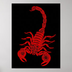 Vintage 1800s Scorpion Illustration Red Scorpions ポスター