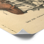 Vintage 1888 German Anatomy Print Abdomen Pelvis ポスター (角)