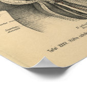 Vintage 1888 German Anatomy Print Leg Hip ポスター (角)