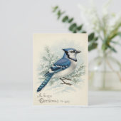 Vintage 1908 Blue Jay Christmas  ポストカード (スタンド正面)