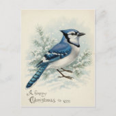 Vintage 1908 Blue Jay Christmas  ポストカード (正面)