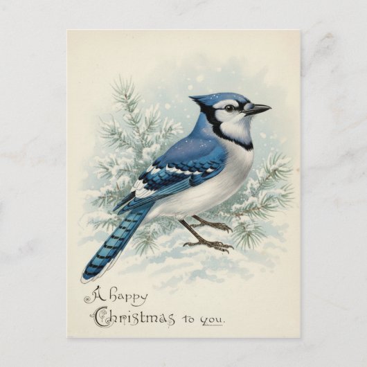 Vintage 1908 Blue Jay Christmas ポストカード (正面)