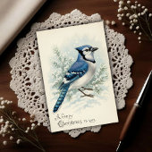Vintage 1908 Blue Jay Christmas ポストカード