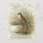 Vintage 1908 Christmas Bird Greeting ポストカード (正面)