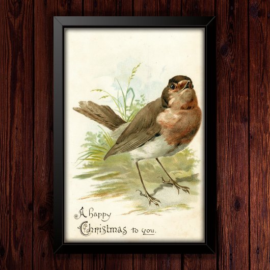 Vintage 1908 Robin Bird Christmas Greeting Poster ポスター