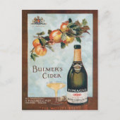 Vintage 1912 Pomagne Cider Advertisement Art ポストカード (正面)