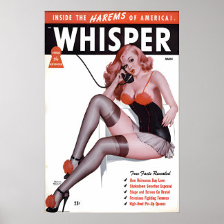 Vintage 1940s Pin Up Girl Poster & Canvas Inside ポスター