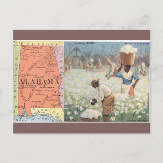 Vintage Alabama Cotton Picking Postcard ポストカード (正面)