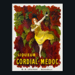 Vintage Alcohol Advertisement Poster ポスター<br><div class="desc">Vintage Alcohol Advertisement Poster</div>