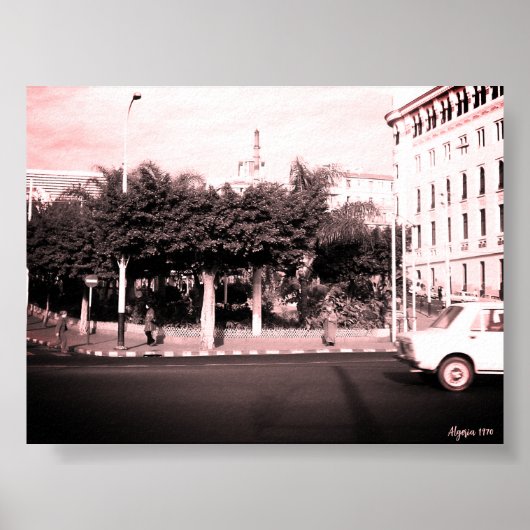 Vintage Algeria Algiers cars building ポスター (正面)