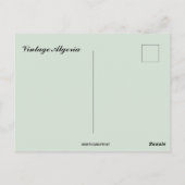 Vintage Algeria Postcard ポストカード (裏面)