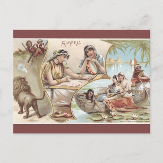 Vintage Algeria Postcard ポストカード (正面)
