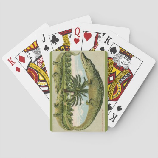 Vintage Alligator Postcard Playing Cards トランプ (裏面)