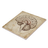 Vintage Anatomical Brain Ink Sketch Sepia タイル (側面)