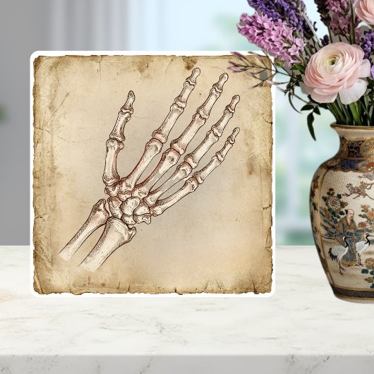 Vintage Anatomical Hand Bones Ink Drawing Sepia タイル